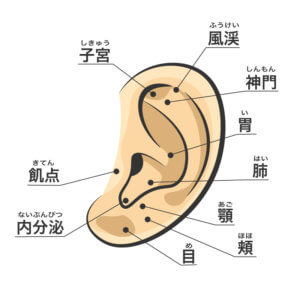 耳つぼ ダイエットに効果のあるツボ 小顔矯正を東京 大阪でするなら 小顔製作所 にお任せ